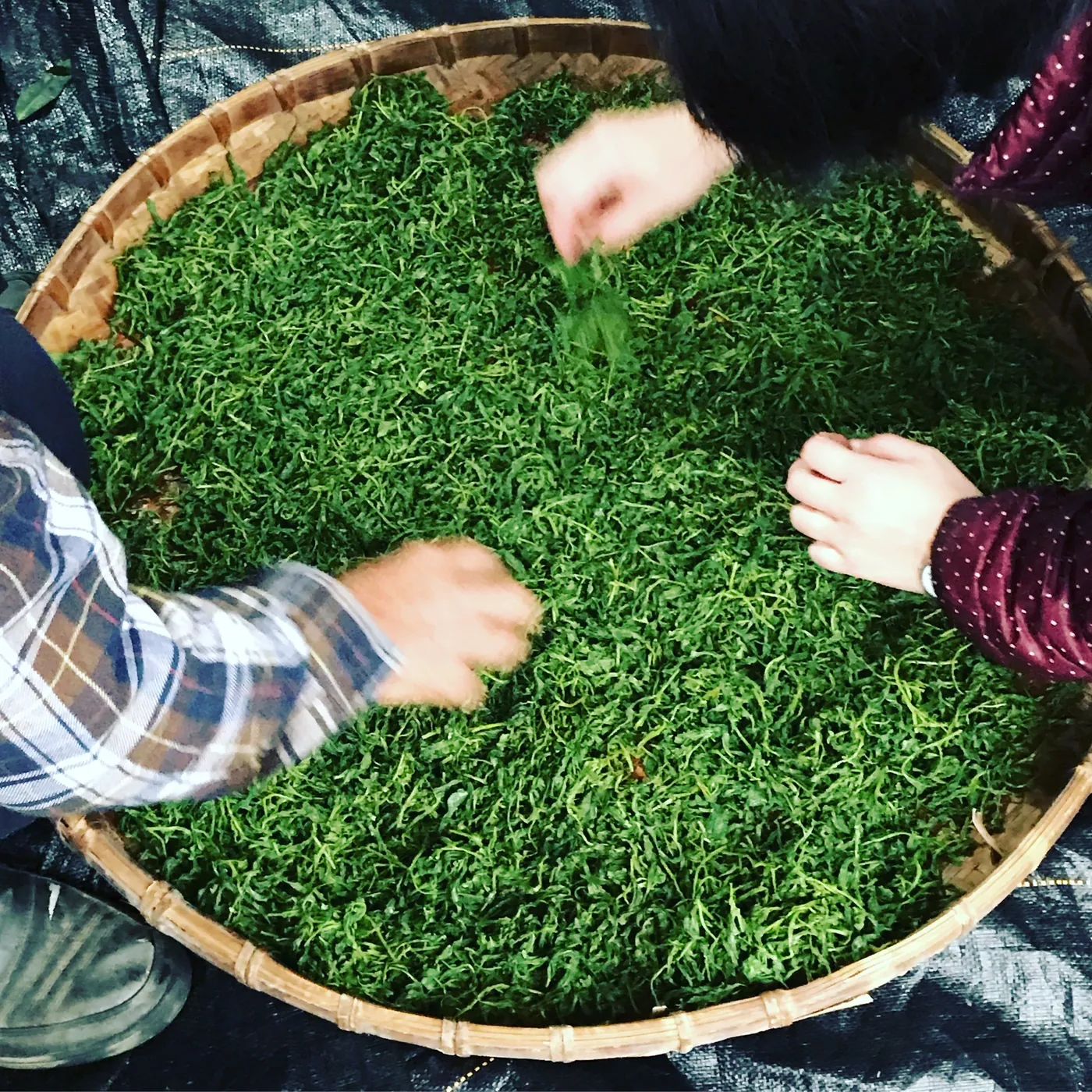 在瑞芳學|學習型旅行
